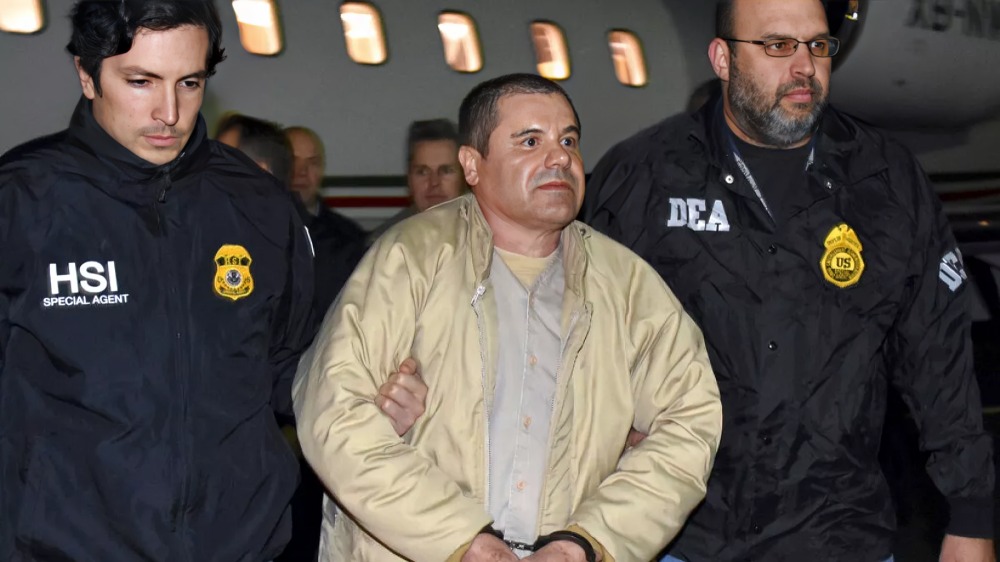 Silvia Delgado revela que llegó a al defensa de El Chapo por recomendación