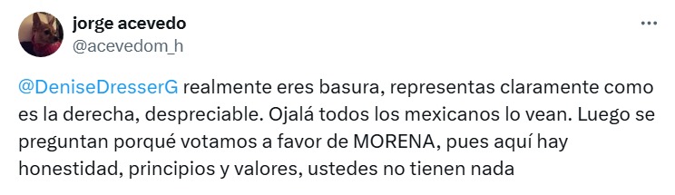 Usuarios critican a Denise Dresser