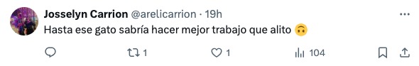 gato hace mejor trabajo que Alito