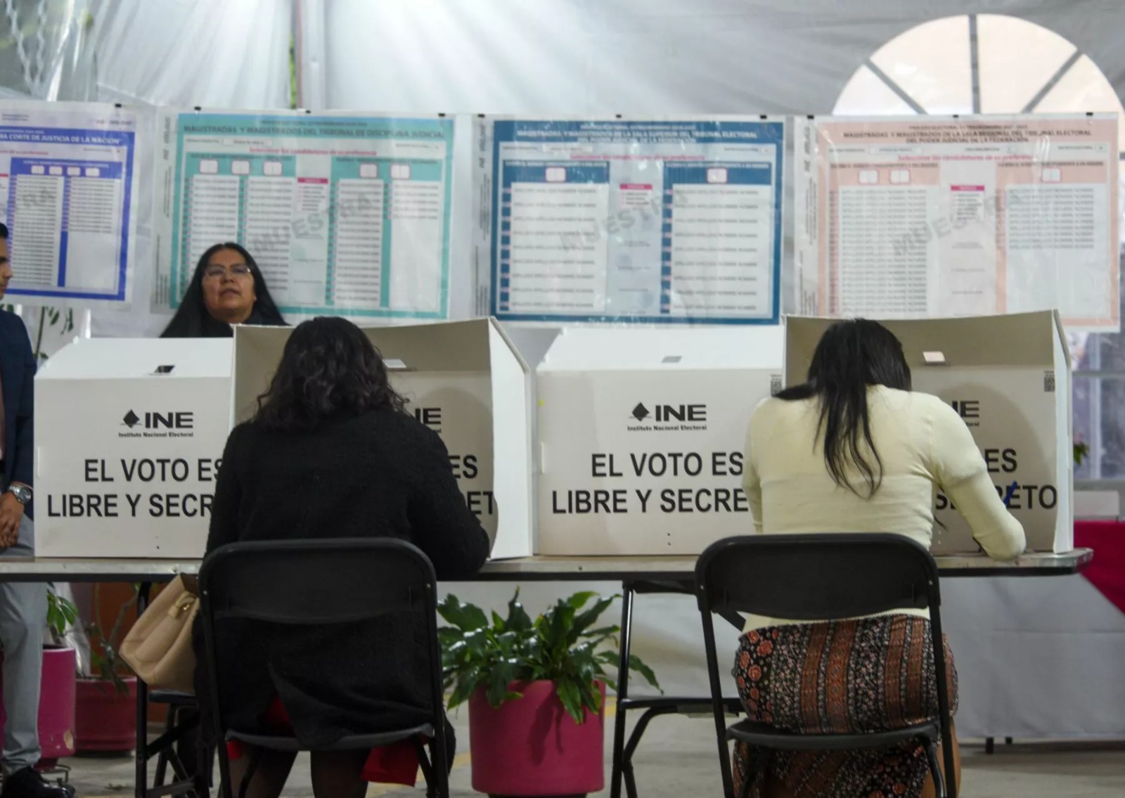 INE elección judicial