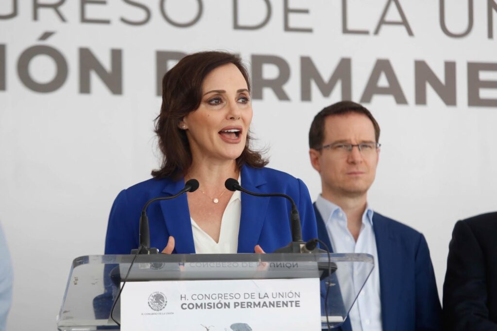 Lilly Téllez contra elección