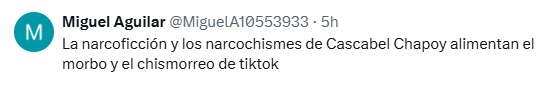 Narcoficción y narcochismes