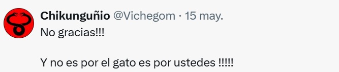 No gracias gato