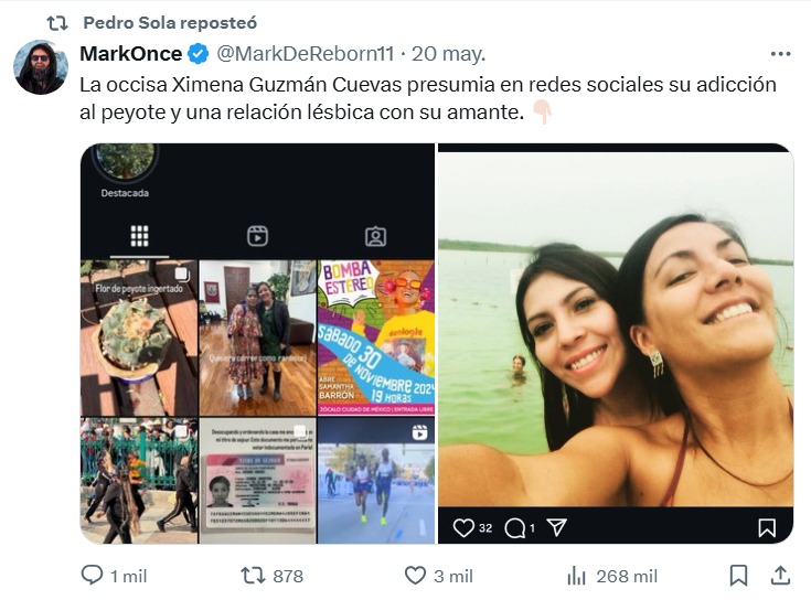Retuit Pedro Sola homofobia