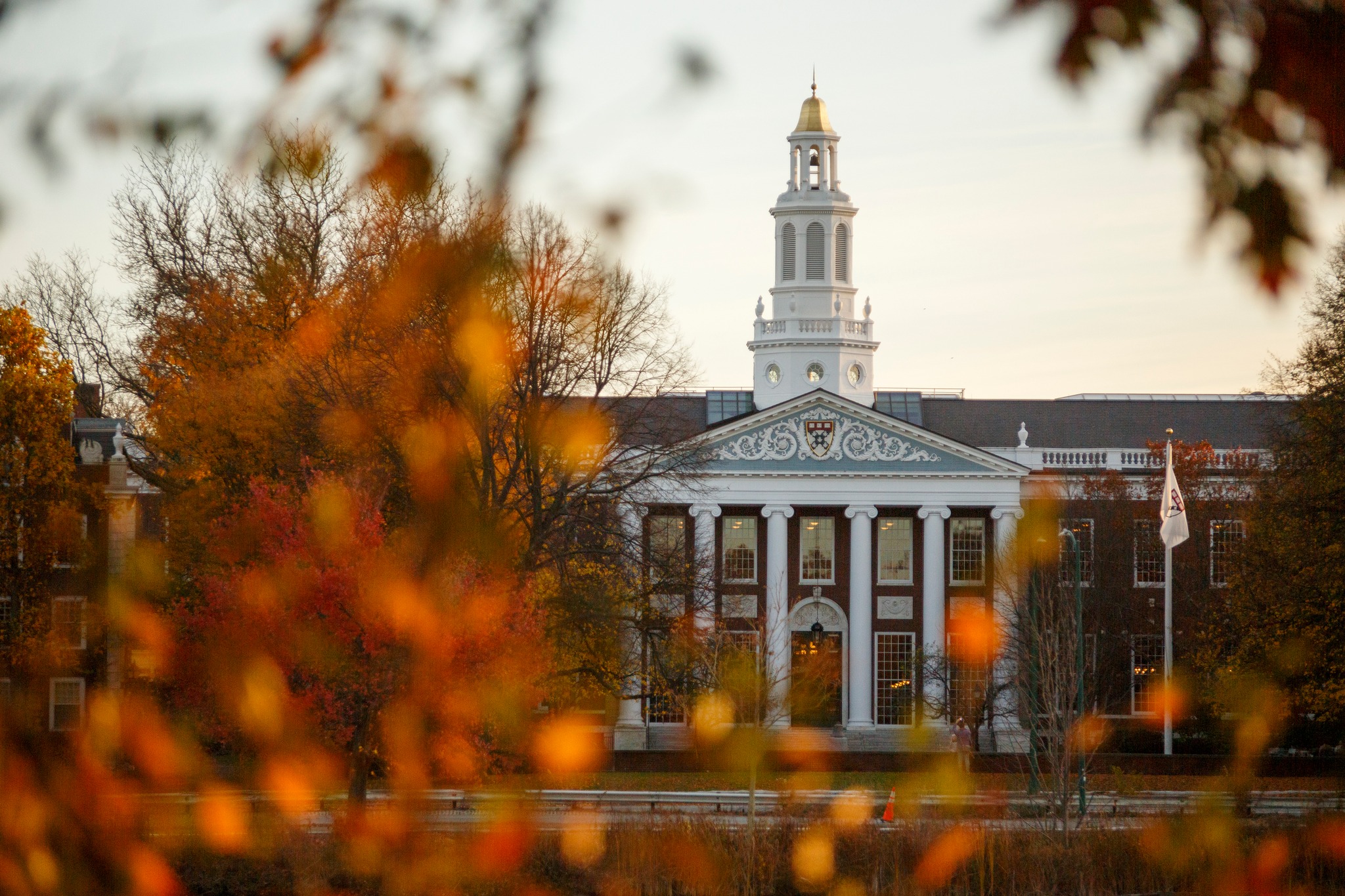 Trump prohíbe a Harvard admitir a estudiantes extranjeros