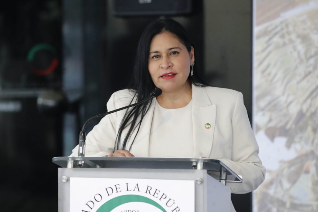 Ana Lilia Rivera en Senado