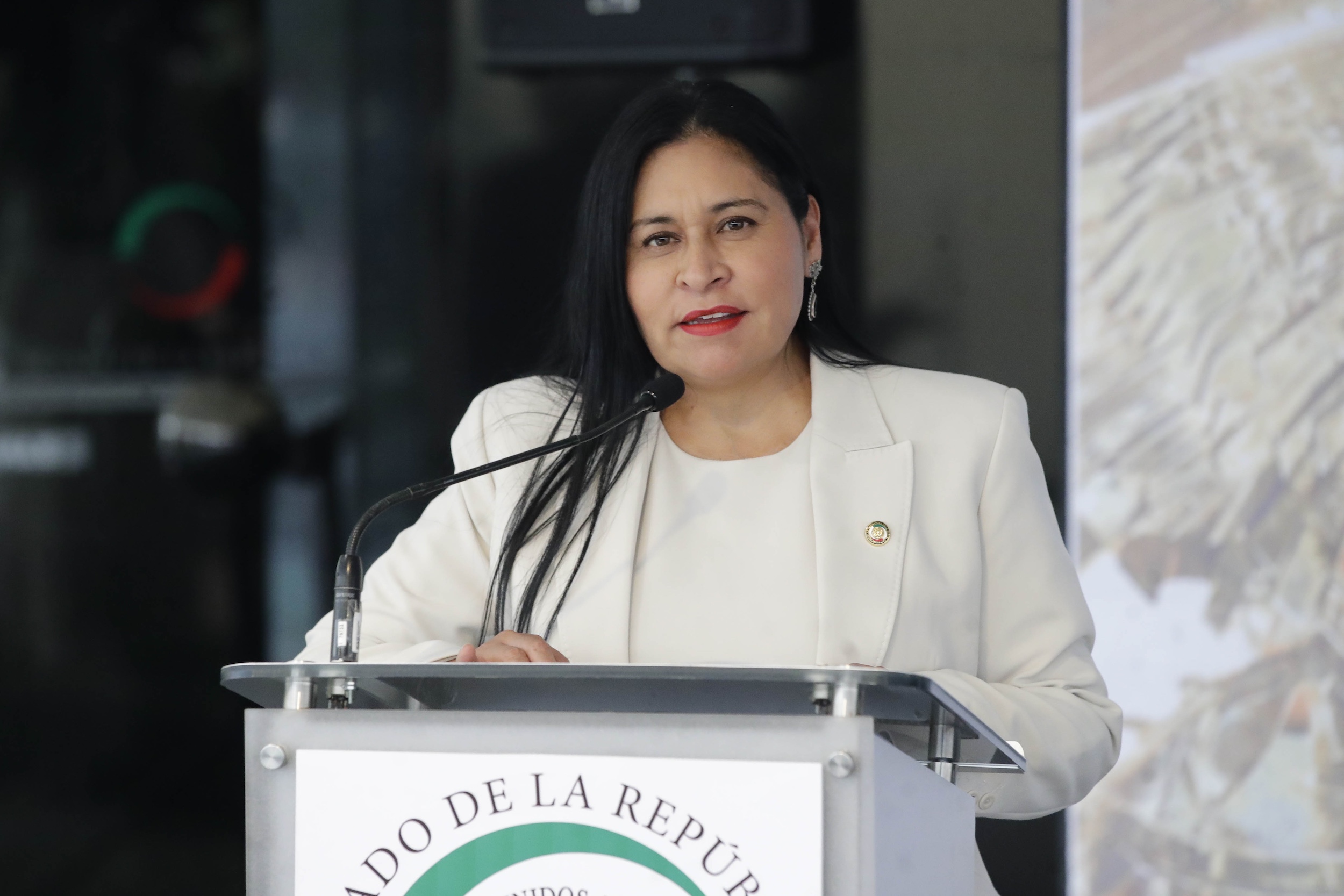 Ana Lilia Rivera en Senado