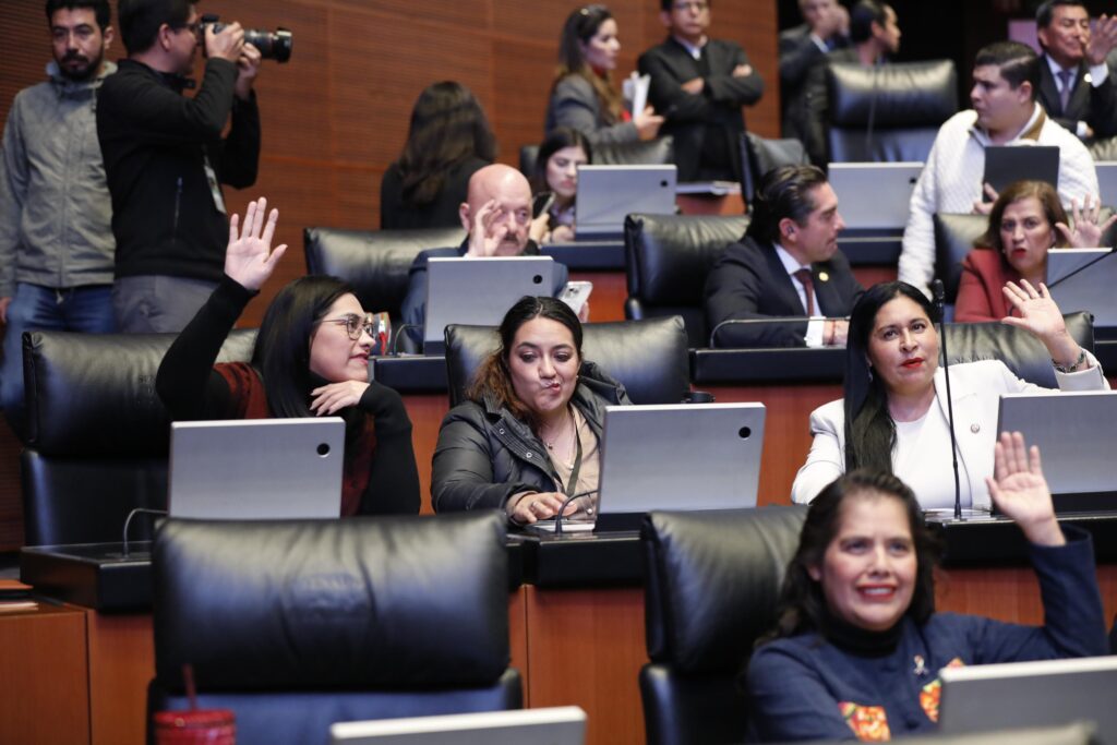 Ana Lilia Rivera Senado