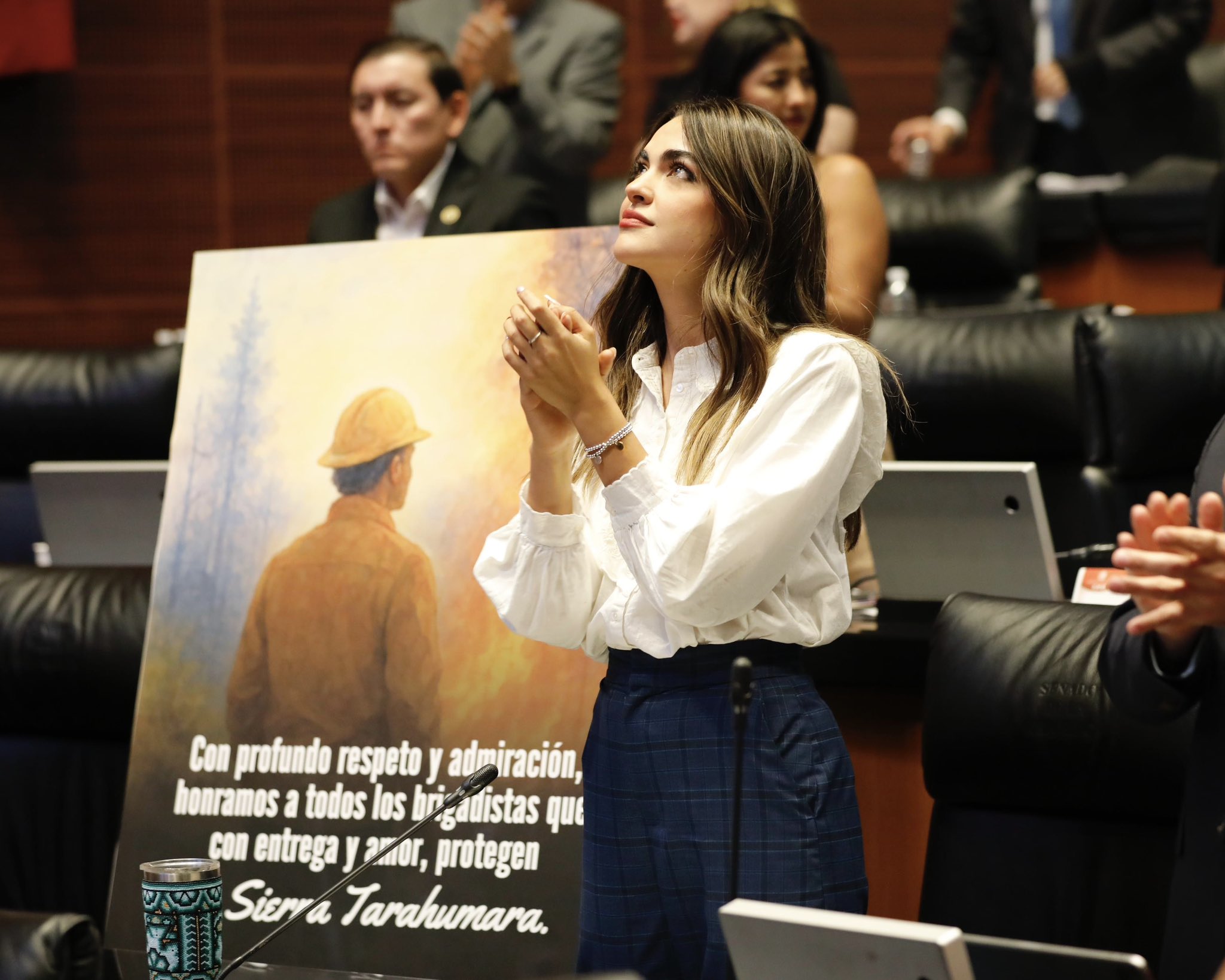 Andrea Chávez Cámara de Senadores 