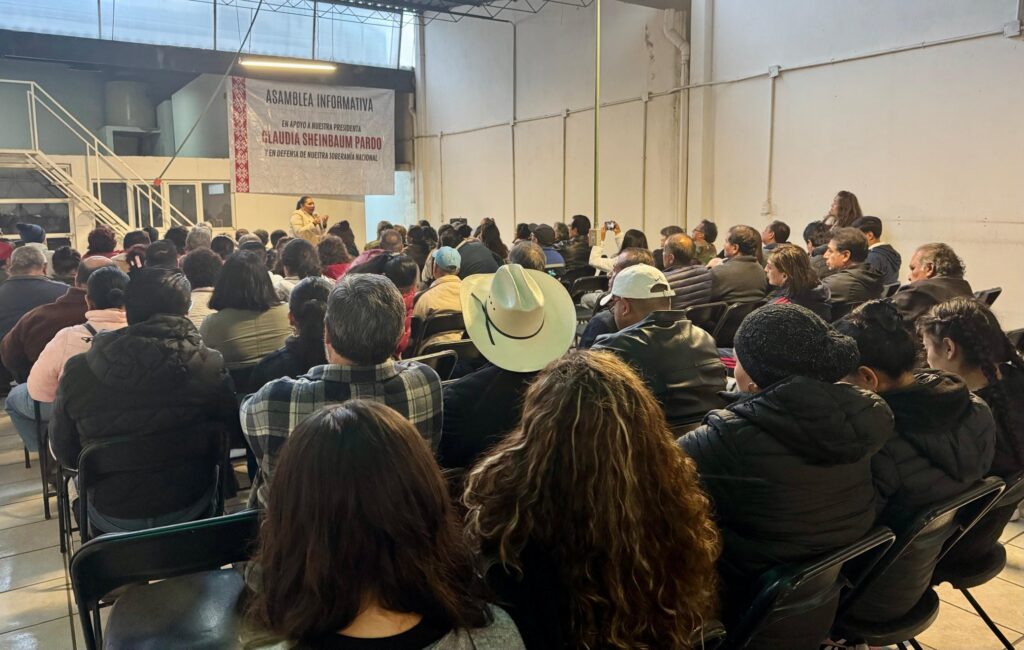 Asambleas Ana lilia