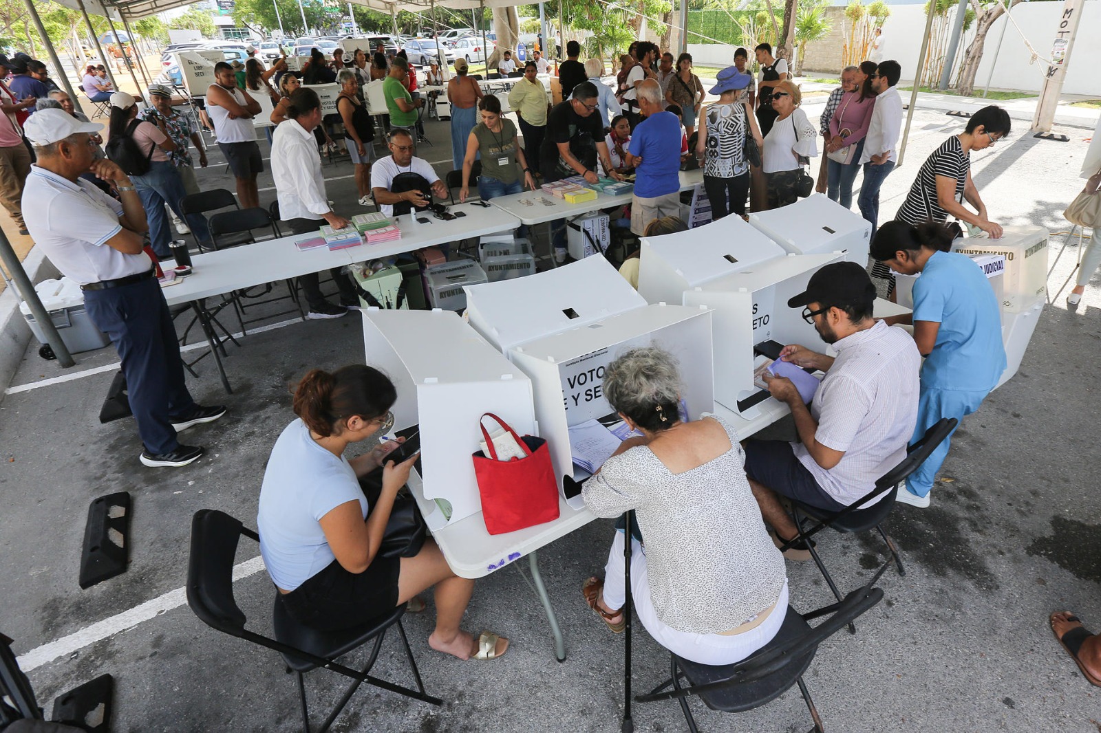 Elección judicial, participación necesaria
