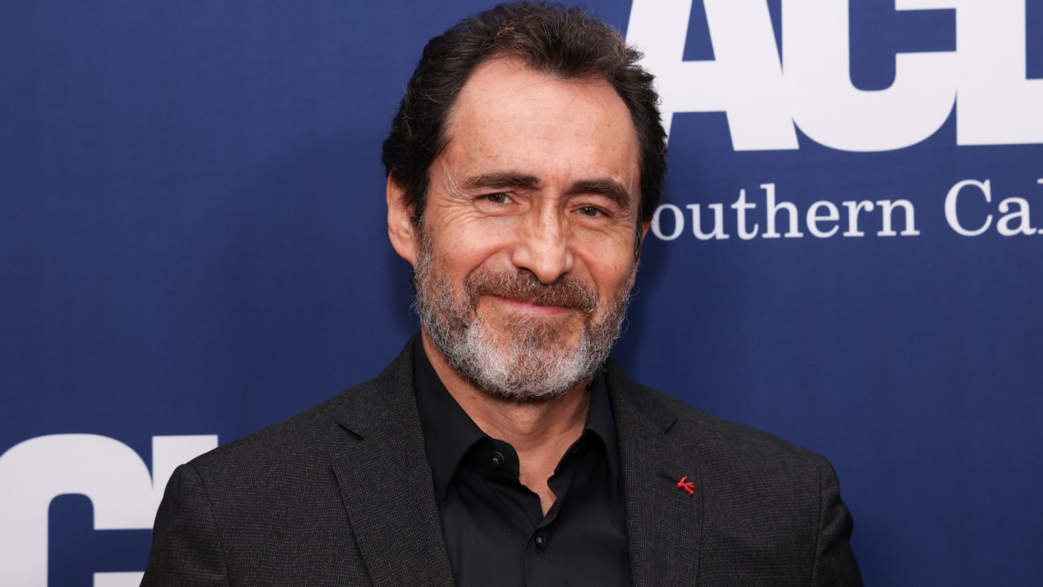 Famosos mexicanos Demián Bichir 