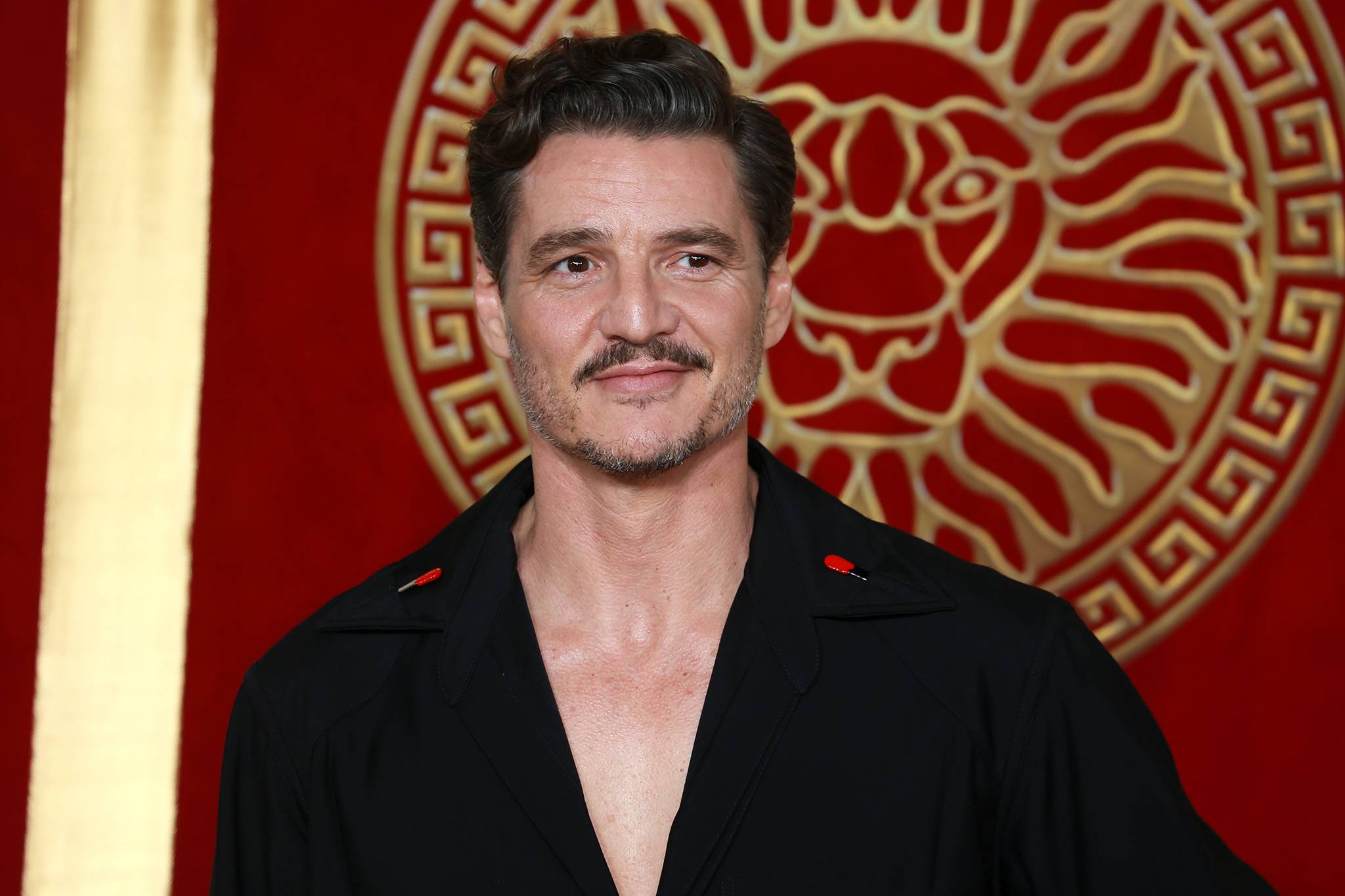 Pedro Pascal condena redadas