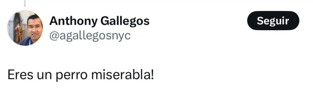 Perro miserable