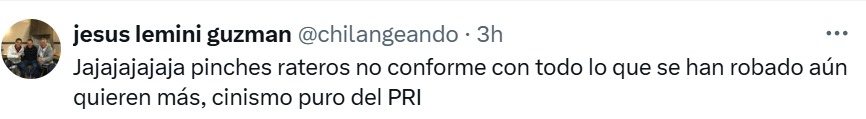 Pinches rateros
