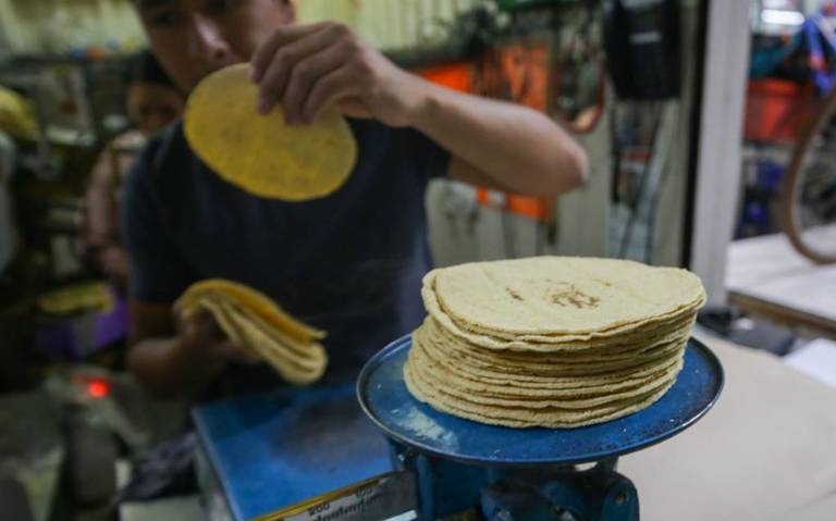 precio tortillas