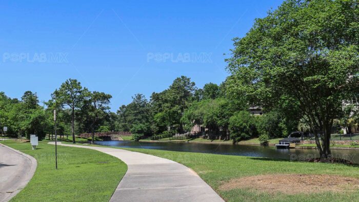 The Woodlands Diego Sinhue