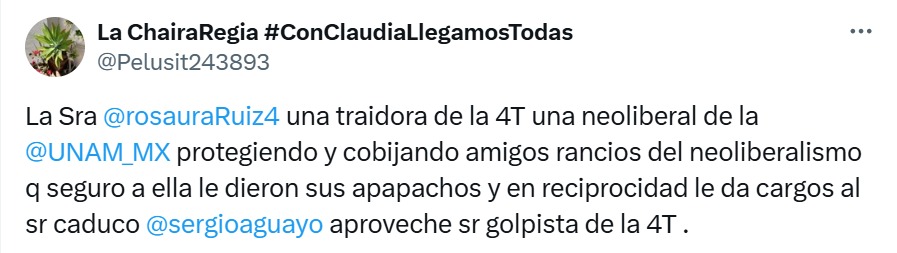 Traidora de la 4T