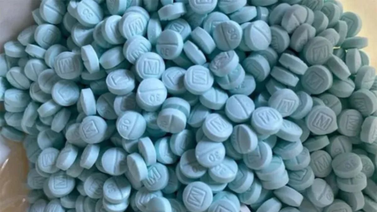 FGR asegura 200 mil pastillas de fentanilo en Sonora