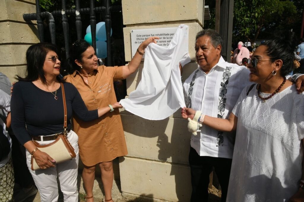 Alcaldes y senadores de Morena en Cuba