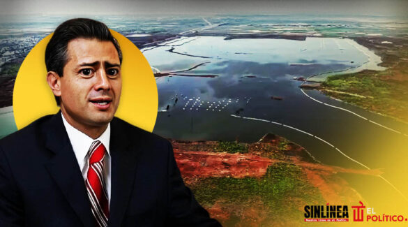 Conanp confirma inundación en terrenos del NAIM |VIDEOS