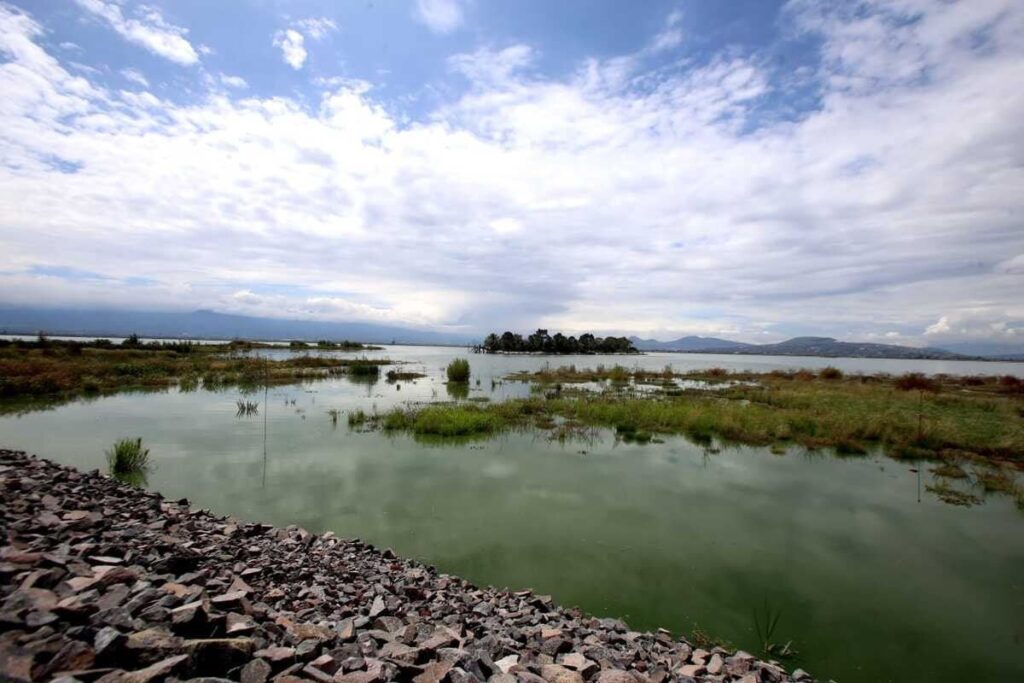 Humedales Lago de Texcoco