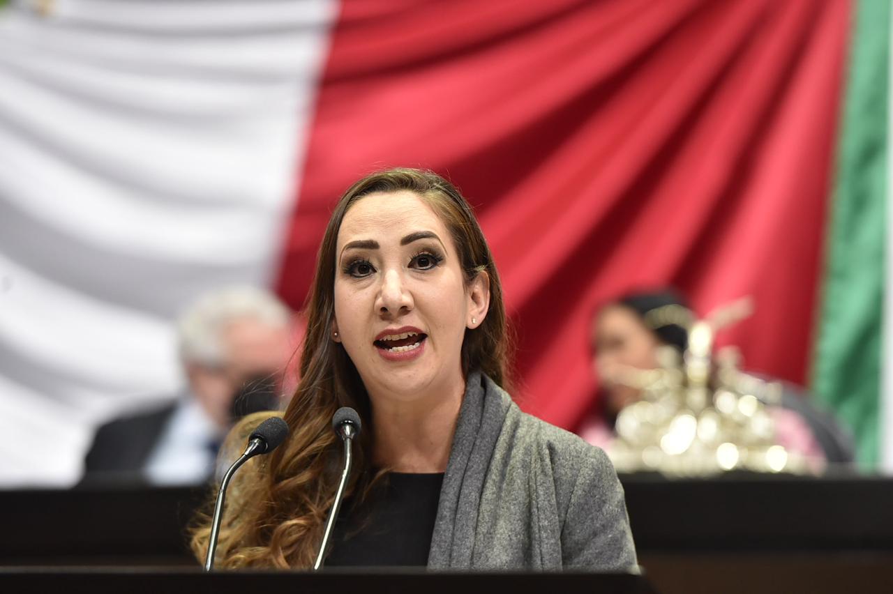 Noemí Luna PAN