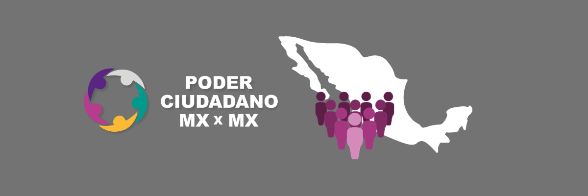 Poder Ciudadano impugna elección 