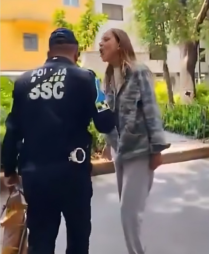 ¿Por qué Lady Racista se hizo polémica?