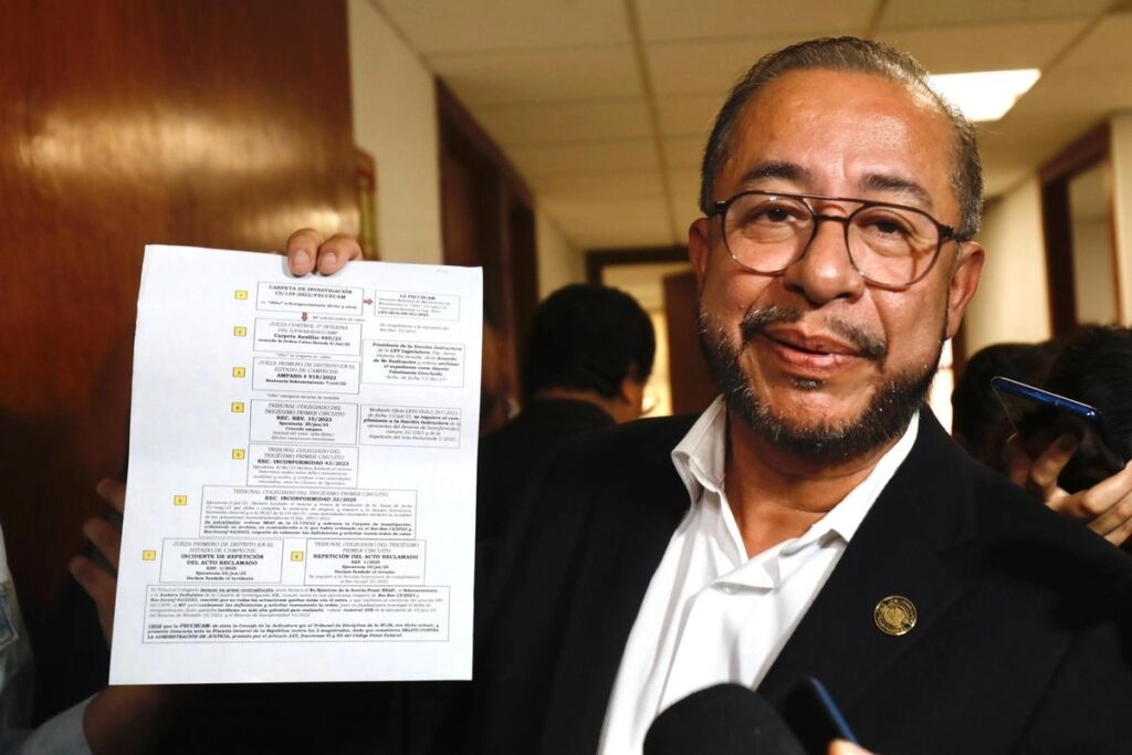 Eric Flores desafuero de Alito