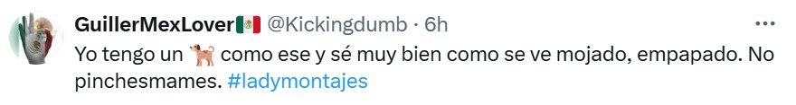 Lady Montajes