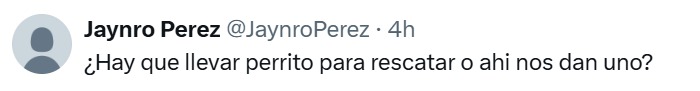 llevar perrito