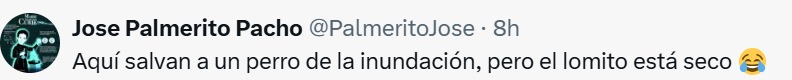 Lomito seco
