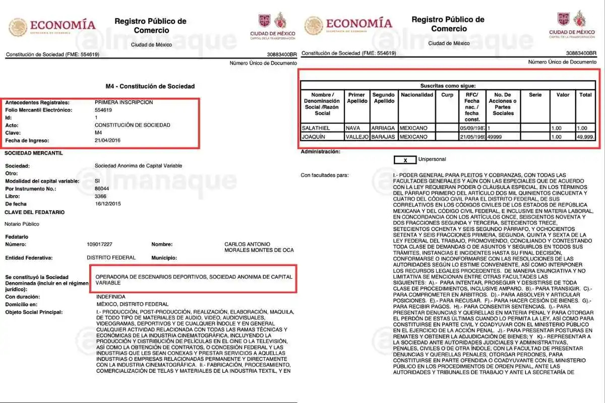 Salinas Pliego fraude