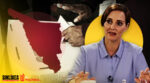 Lilly Téllez se "descarta" para la gubernatura de Sonora; redes se burlan