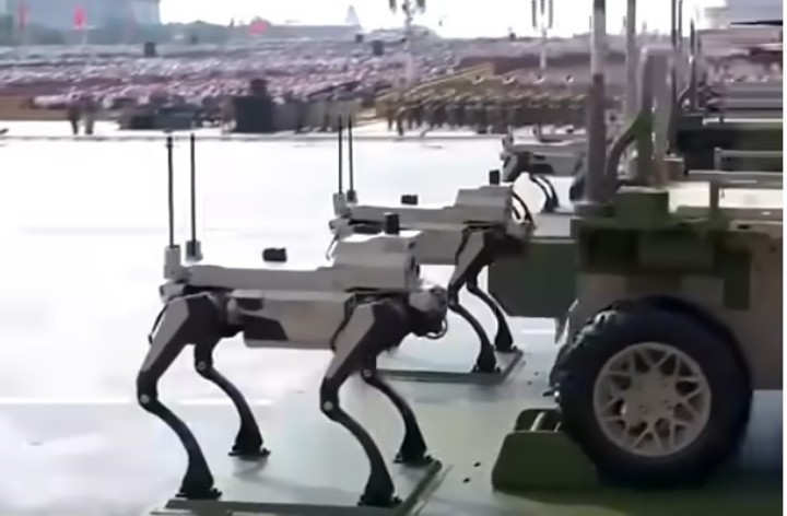 Perros robot en China 