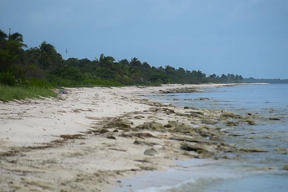 Así es la playa de Alito Moreno