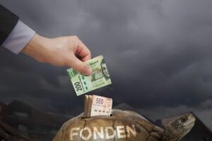 El fonden, usado para robar