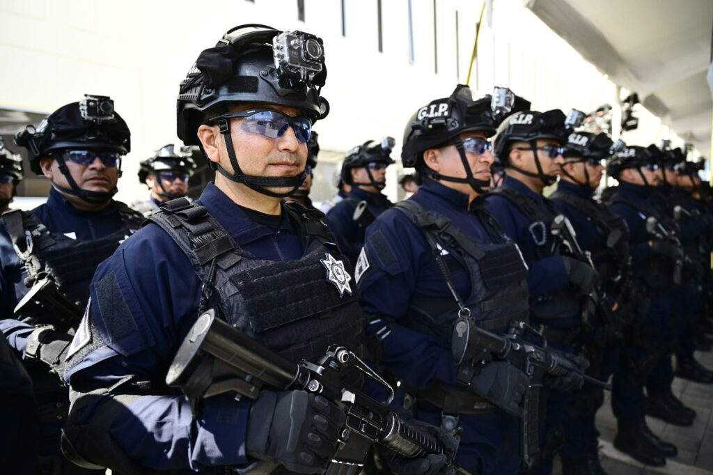 fuerzas de seguridad Delfina