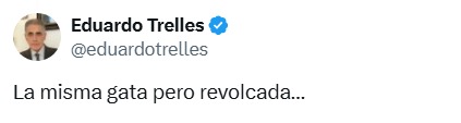 misma gata revolcada