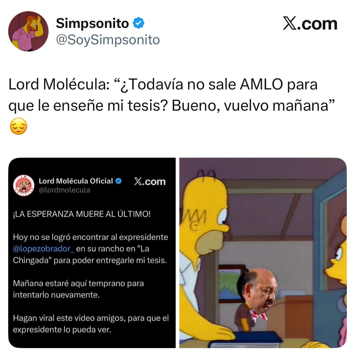 Redes tunden a Lord Molécula