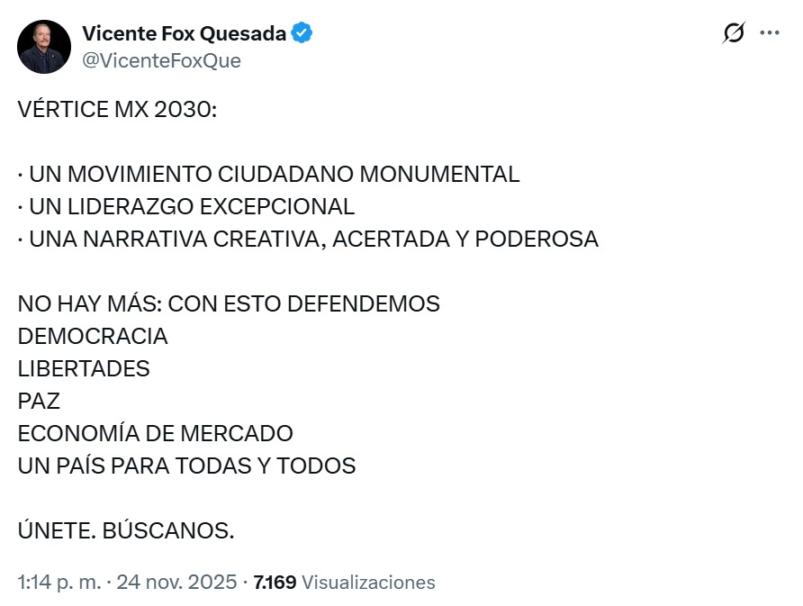 Vicente Fox, Vértice MX