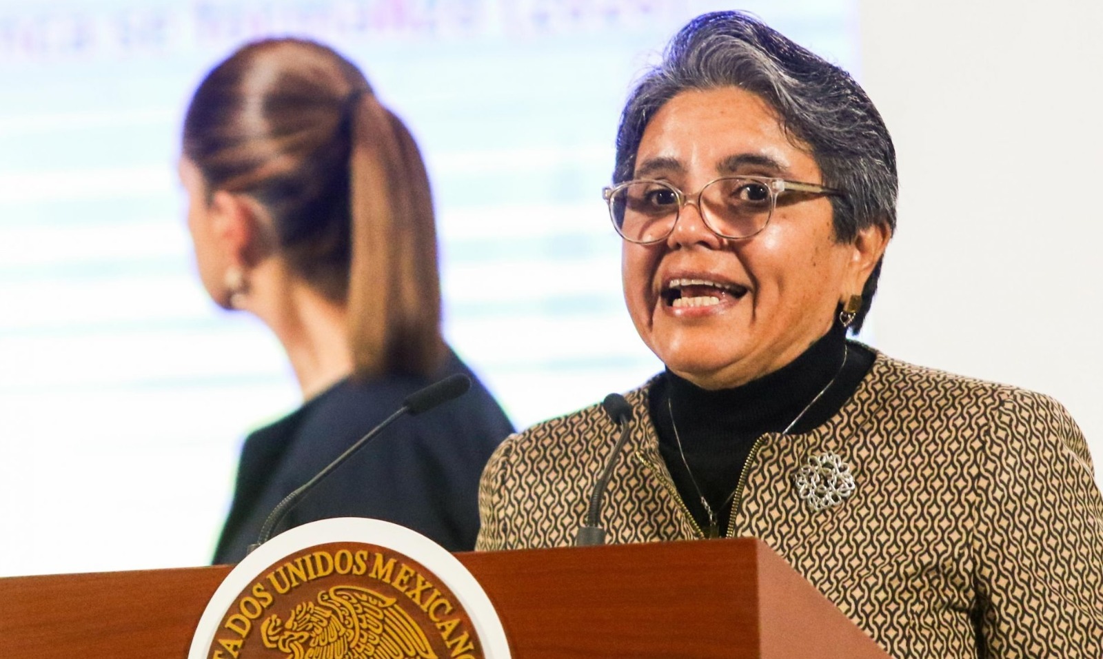 ¿Cuáles fueron las acciones tomadas por anticorrupción contra Birmex?