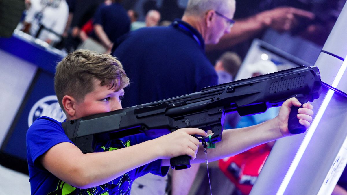 EU portación de armas
