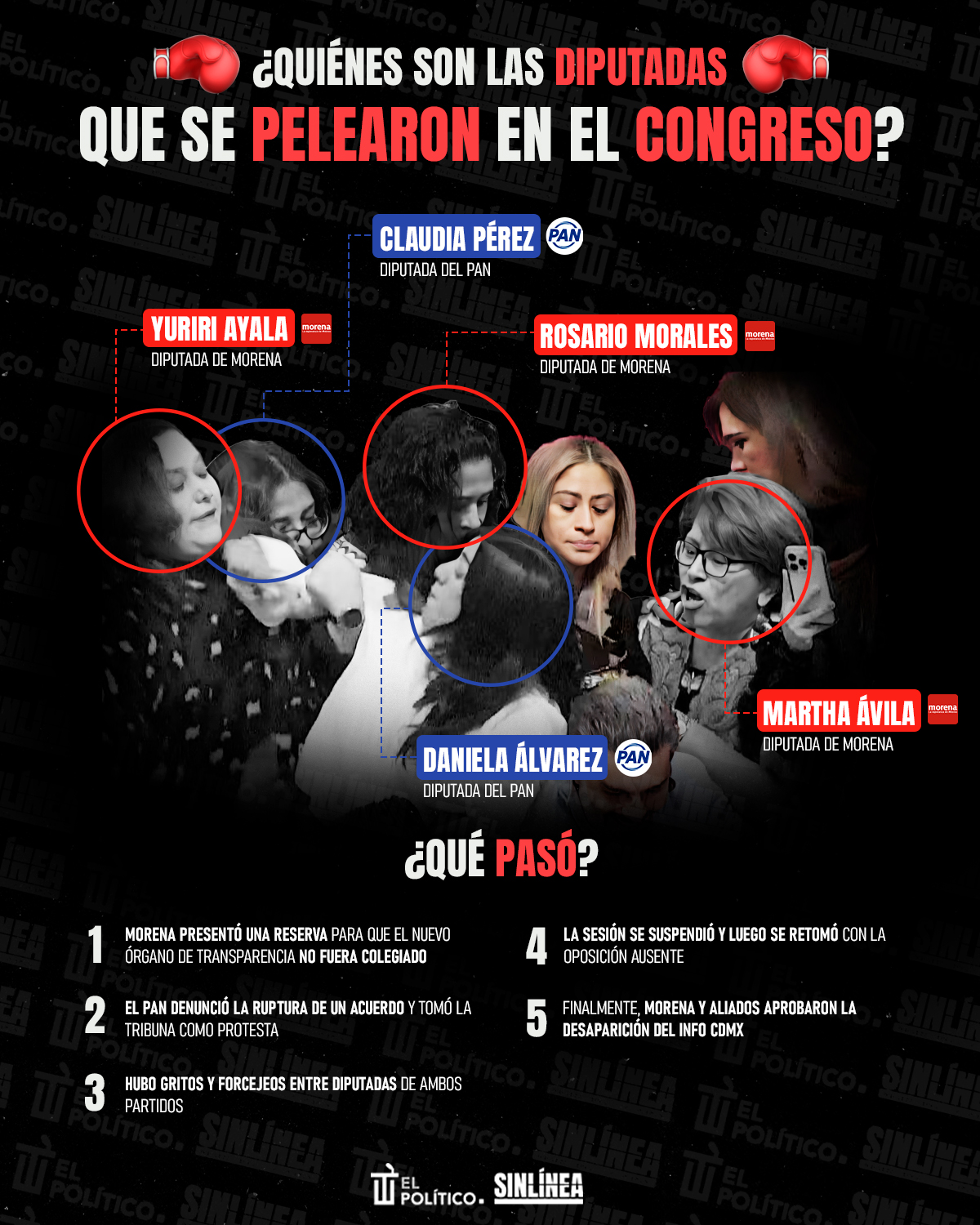 Infografía de las diputadas que pelearon