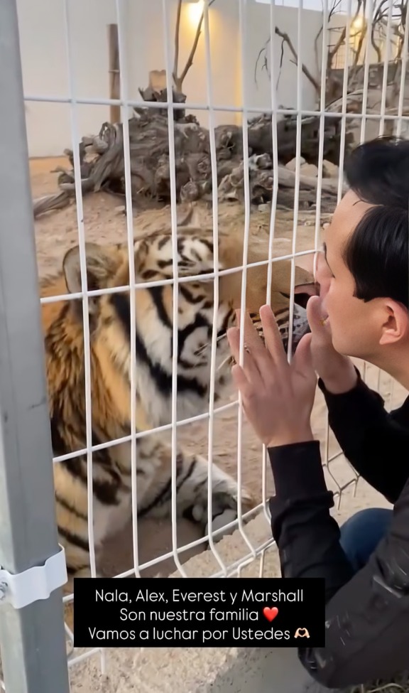 Javier Aguilera polémica con leones y tigres