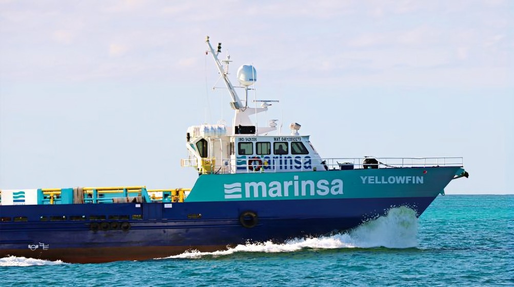 Marinsa