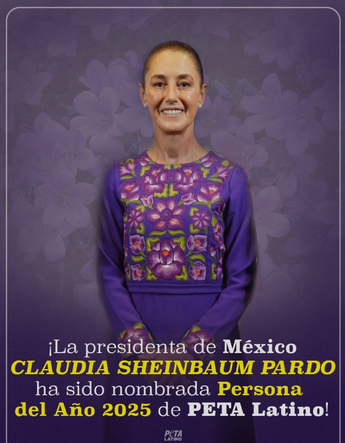 Sheinbaum PETA Latino