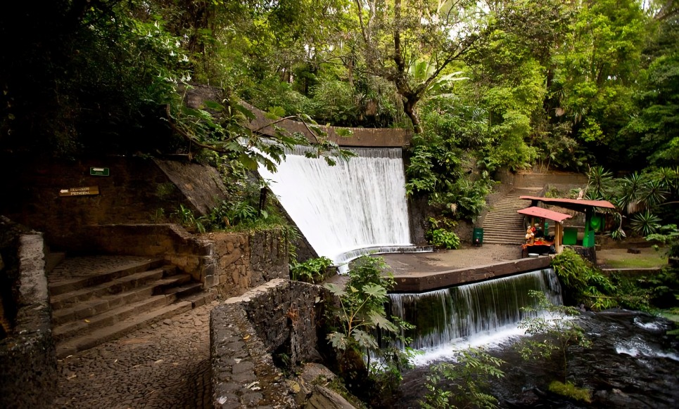 Uruapan Michoacán