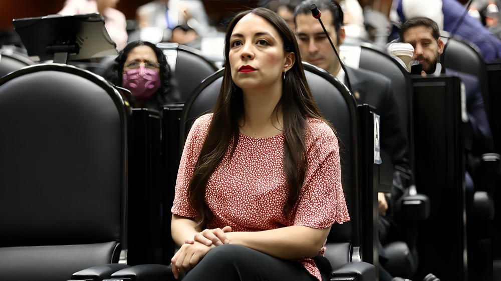 Julieta Ramírez ciritca a Anaya y Alito por alarmar sobre reforma electoral